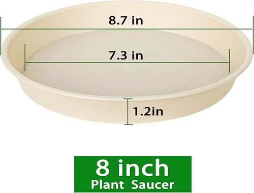 6 Pack of 8 inch Plant Saucer Blue, Plastic Plant Water Tray 8 inch Round - Image 2