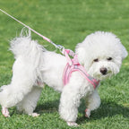 AIITLE Escape Proof Dog Harness - Image 4