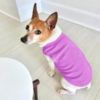 Customized Dog Shirt Custom Pet Clothes T Shirts - Image 5