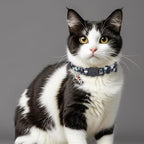 Cat Collar Breakaway, 2 Pack Cotton Cats Collars - Image 3
