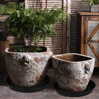 2 Pack of 20 21 inch Plant Saucer Round, Deep Plant Saucers - Image 6