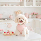Strawberry Dog Collar for Small Dogs - Image 5