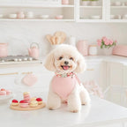 Strawberry Dog Collar for Large Dogs - Image 5