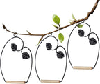 winemana Set of 3 Hummingbird Swings, Rust Resistant Metal Frame, Wooden Dowel - Image 2