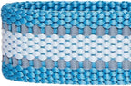Blueberry Pet Essentials Matching Small Dog Collar | Adjustable Classic Solid - Image 7