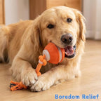Zealburst Interactive Dog Toy Ball, 2026 Upgraded Motion Activated Rolling Ball - Image 2