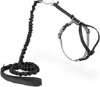 PetSafe Come With Me Kitty Cat Harness & Bungee Leash by PetSafe