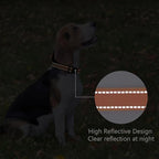 Reflective Dog Collar Padded - Image 5
