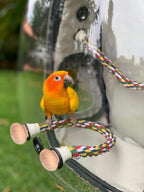 Bird Traval Carrier Cage, Vet Transport School Bag - Image 5