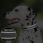 PetiFine Dog Collars for Small Dogs, Neoprene Padded Dog Collar, Reflective - Image 4
