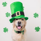 St Patricks Day Dog Collar for Large Dogs - Image 4