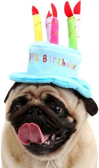 Cute Adorable Dog Cat Birthday Cake Hat Pet Cap Headwear Hat - Image 2