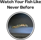 Aquarium Underground Tunnel Cave Natural Curve Two Hole | Viewing Fish & Shrimp - Image 6