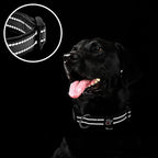 azuza Reflective Dog Collar, Soft Neoprene Padded Pet Collar - Image 4