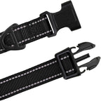 TagME Small Dog Collar, Adjustable Reflective Nylon Pet Collar - Image 4
