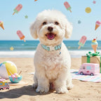 Blue Dog Collar for Large Dogs, Boy Girl Dog Collar - Image 2