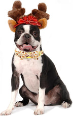 Dog Collar, Thanksgiving Turkey Pet Collar Bow Holiday Girl Boy Bow Dog Collars - Image 5