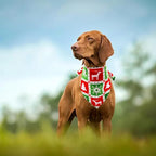 30 Pack Christmas Happy New Year Dog Bandanas Bulk 33 Inch Large Dog Bandanas - Image 6