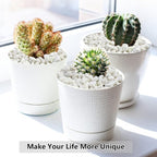 5LB Succulent and Cactus Gravel Pebbles, 1/5 Inch White Natural Decorative - Image 5