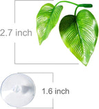 CousDUoBe 2 Pack Betta Fish Leaf Pad Improves Betta's Health by Simulating The - Image 3