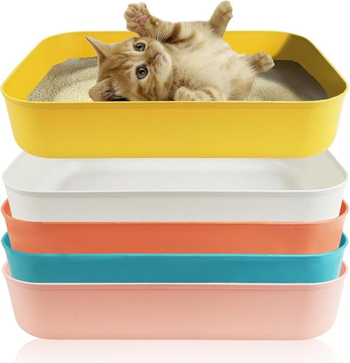 5PCS Small Litter Box, Plastic Kitten Litter Box, 13.9 x 9.8 x 3 Inch Open by GCVOPTON