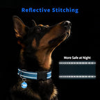 Reflective Dog Collar for Large Dogs - Image 3