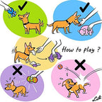 CHIWAVA 3PCS 2.7'' Squeak Latex Dog Toy Football Chew Fetch Throw Ball - Image 6