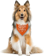 Big Sister Dog Bandana, Big Sister Bandana - Image 3