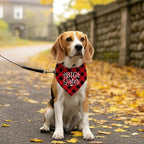 Big Sister Buffalo Plaid Plaid Plaid Blue Camo Pet Scarf Dog Bandana - Image 5