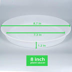 6 Pack of 8 inch Plant Saucer Clear, Heavy Duty Plastic Plant Water Tray 8 inch - Image 2