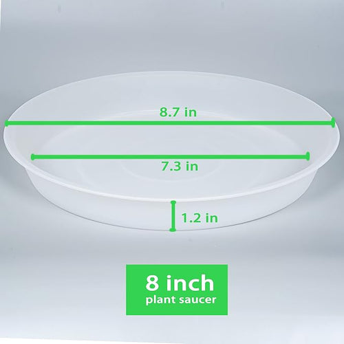 6 Pack of 8 inch Plant Saucer Clear, Heavy Duty Plastic Plant Water Tray 8 inch - Image 2
