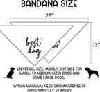 Wedding Gifts pup of Honor Best Dog Bandana Pet Scarf Wedding Photo Prop Pet - Image 2