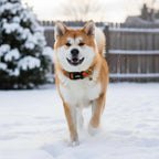 Extra Small Christmas Dog Collar, Adjustable Dog Christmas Collars, Cute Dog - Image 5