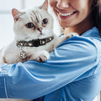 2Pcs Breakaway Cats Collars Cat Collars - Image 7