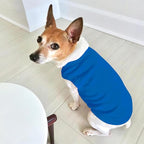 Custom Dog Shirt Pet Clothes Breathable Shirts - Image 5