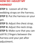 Voyager Step-in Air Dog Harness - Image 3