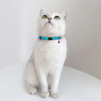 Breakaway Cat Collar Leather - Image 8