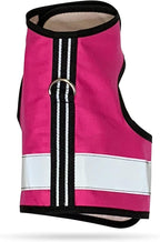 Kitty Holster Reflective Cat Harness – High-Visibility Cat Harness by KittyHolster