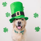 St Patricks Day Dog Collar for Large Dogs - Image 4