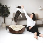 Asvin Small Dog Bed for Small Dogs, Cat Beds for Indoor Cats, Pet Bed for Puppy - Image 6