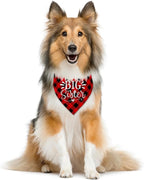 Big Sister Buffalo Plaid Plaid Plaid Blue Camo Pet Scarf Dog Bandana - Image 2
