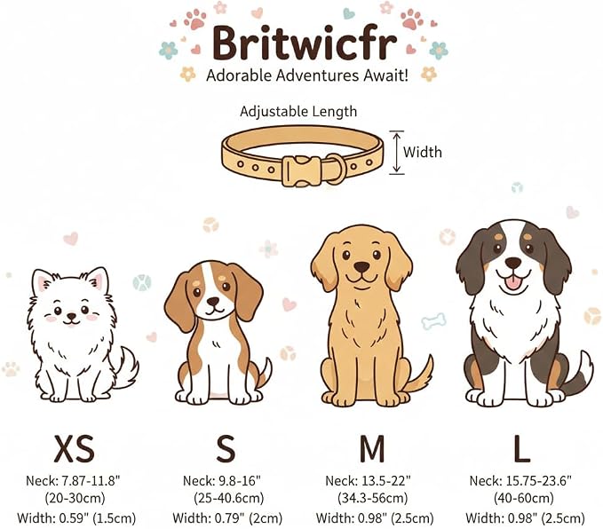 Summer Dog Collar for Medium Dogs, Cute Dog Collar - Image 5