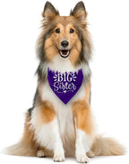 Big Sister Dog Bandana, Pet Scarf Accessories, Pet Triangle Scarf, Dogs Bandanas - Image 3