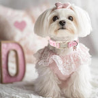 Girl Dog Collar for Puppy Small Dogs - Image 7