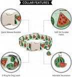 Summer Dog Collar for Medium Dogs, Cute Dog Collar - Image 2