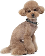 Reflective Dog Collar for Small Dogs Cats, Cute Leopard Style Adjustable - Image 2