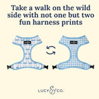 Lucy & Co. Cute Reversible Dog Harness Walking Halter - Image 6
