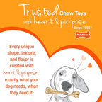 Nylabone Limited Edition 70th Birthday Donut Power Chew Toy - Image 11