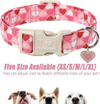 Valentines Dog Collar for Giant Large Dogs - Image 7