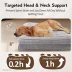Large Orthopedic Dog Bed with Sides XXXL Dog Beds with Removable Washable Cover - Image 3